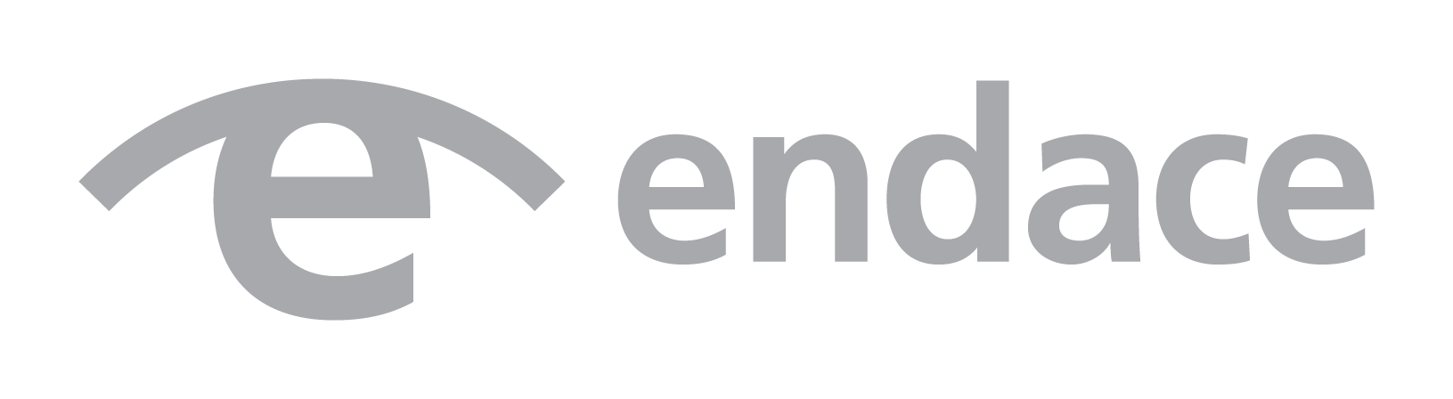 ENDACE-logo
